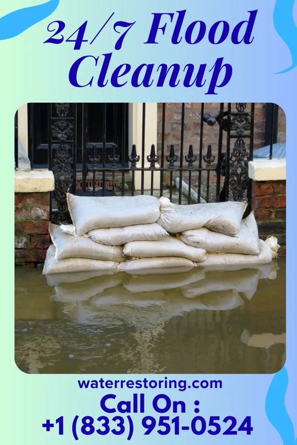 24/7 Flood Cleanup in East Brooklyn, IL