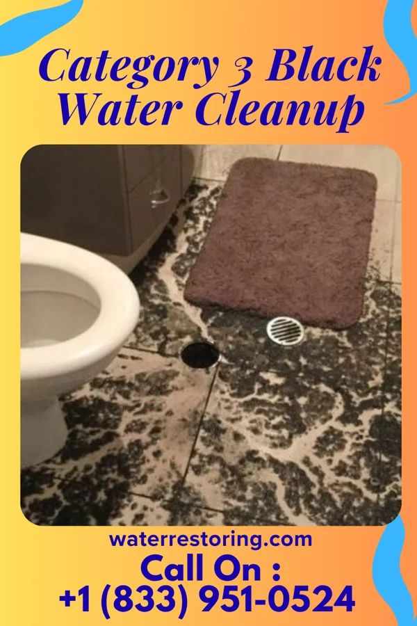 Category 3 Black Water Cleanup in East Brooklyn, IL