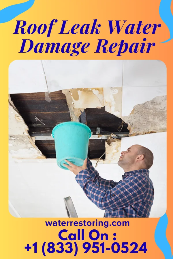 Roof Leak Water Damage Repair in East Brooklyn, IL